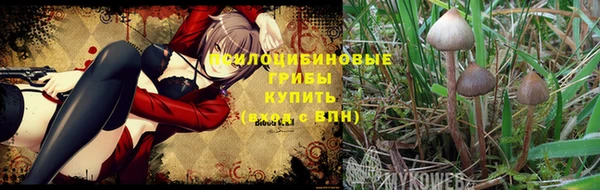 дживик Нефтекумск