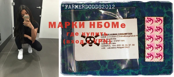 дживик Новодвинск