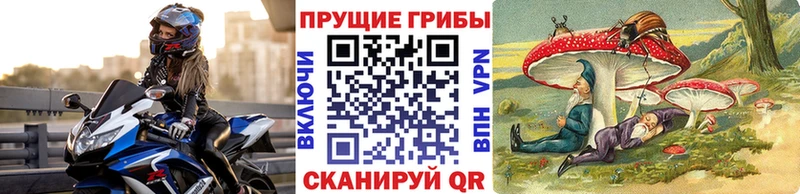 блэк спрут онион  продажа наркотиков  Кизляр  маркетплейс Telegram  Псилоцибиновые грибы Cubensis 