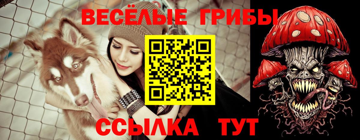 Псилоцибиновые грибы мухоморы  Галлюциногенные грибы прущие грибы  Вход с VPN  Кизляр 