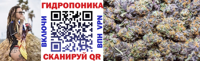 Бошки Шишки гибрид  Кизляр 